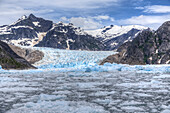 Le Conte Glacier, Southernmost Glacier in Southeast Alaska near Petersburg, USA