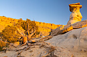 USA, New Mexico, Ojito Wilderness. Eroded desert rocks.
