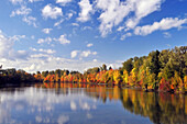 USA, Oregon, Portland. Johnson Lake und Wasservögel im Herbst