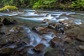 USA, Washington State, Olympic National Park. Dungeness River rapids