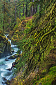 Sol Duc River in Olympic National Park, Washington State, USA