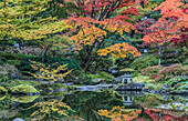 Staat Washington, Seattle. Herbstfärbung, Japanischer Garten