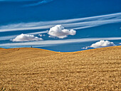 USA, Staat Washington, Palouse. Große Wolken über Weizenfeldern bei der Ernte