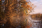 Autumn morning on the Ach, Uffing am Staffelsee, Upper Bavaria, Bavaria, Germany