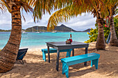 Caribbean, Grenada, Sandy Island. Picnic table and hammock on beach
