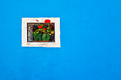 Europe, Italy, Burano. Window of colorful house