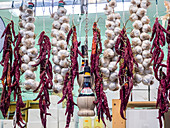 Italien, Florenz. Knoblauch und Paprika zum Verkauf hängend in einem Geschäft auf dem Zentralmarkt, Mercato Centrale in Florenz.
