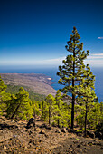 Spain, Canary Islands, El Hierro Island, Malpaso Mountain, elevation 1503 meters, elevated view of the south coast