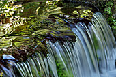 Kaskadierendes Wasser, Fern Spring, Yosemite National Park, Kalifornien