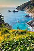 Big Sur-Bereich, Kalifornien, USA