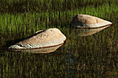 USA, California, Yosemite National Park. Granite boulders in pond
