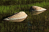 USA, Kalifornien, Yosemite-Nationalpark. Granitfelsen im Teich