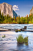 USA, Kalifornien, Yosemite, Talblick