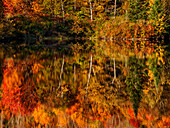 USA, New Hampshire, White Mountains, Autumn reflection on Coffin Pond