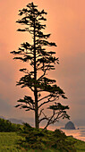 USA, Oregon, Newport, Oregon Coast