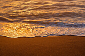 USA, Oregon, Yachats, Sunset light shimmers on waves and wet, sandy beach.