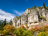 USA, Utah. Herbstfarben mit Espen entlang des Logan Canyon.