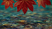 USA, Washington State, Seabeck. Composite of vine maple over river