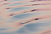 Boat wake reflecting colors at dawn