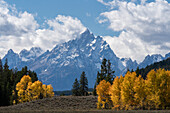 USA, Wyoming. Grand Teton with colorful autumn foliage, Grand Teton National Park.