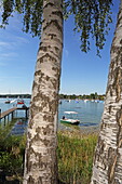 Bathing bay on the promenade of the Ammersee in Herrsching, Five Lakes Region, Upper Bavaria, Bavaria, Germany