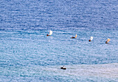 Fishermen with pirogue boats at sea off the north coast of the island of São Tomé in West Africa