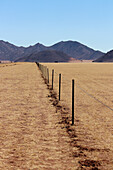 Namibia; Südnamibia; Region Hardap; Namib Wüste; Weidezaun und Abgrenzung einer Farm