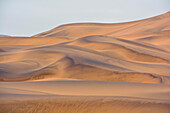 Namibia; Region of Erongo; Central Namibia; Namib Desert near Swakopmund; wind-sculpted sand dunes