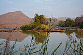 Namibia; Kunene Region; northern Namibia; Kaokoveld; at Epupa; Kunene River; lush vegetation on the shore with palm trees and reeds; Border river with Angola