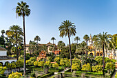 The gardens of the Alcázar Royal Palace, Seville Andalusia, Spain