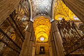Interior of the Cathedral of Santa María de la Sede in Seville, Andalusia, Spain