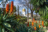 Aloe vera flower in María Luisa Park and the Conservatory of Dance Conservatorio de danza Antonio Ruiz Soler, Seville, Andalusia, Spain