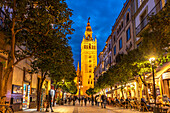Die belebte Fussgängerzone Calle Mateos Gago und der Glockenturm Giralda der Kathedrale Santa María de la Sede in der Abenddämmerung, Sevilla, Andalusien, Spanien