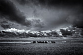 Eine Reihe einsamer Fischerhütten stehen am Steinstrand. Bedrohliche Wolken am Himmel. Schwarz, weiss. Helgumannen fiskeläge. Farö, Gotlands Län, Schweden.