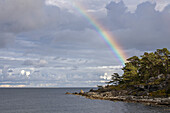 Regenbogen an der Felsküste. Bäume auf der Landzunge. Lärbro, Gotland, Schweden.