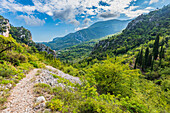 Landschaft zwischen den Bergdörfern Sainte-Agnès und Gorbio in den französischen Seealpen, Provence, Frankreich