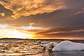Kanada, Territorium Nunavut, Repulse Bay, Eisbär und junges Jungtier (Ursus Maritimus) klammern sich bei Sonnenuntergang in der Nähe von Harbour Islands an schmelzendes Meereis
