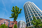 Moderne Architektur, Häuser am Sandtorpark, Hafencity, Hamburg, Deutschland