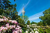 The Planten un Blomen park with the Heinrich Hertz Tower in the background, Hamburg-Mitte, Hamburg, Germany