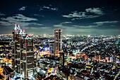 View from the government building of Tokyo, Japan, cityscape at night