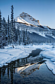 Kanada, Alberta, Jasper National Park, Tangle Peak spiegelt sich in Beauty Creek wider