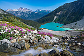 Canada, British Columbia, Joffre Lakes Provincial Park. Meltwater stream flows past wildflowers into Upper Joffre Lake.