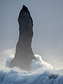 Küste bei Vik y Myrdal im Winter. Die Meeresstapel Reynisdrangar, Island.