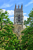 England, Yorkshire, York. Die Kathedrale im englischen Gotikstil und die Metropolitan Church of Saint Peter in York oder das York Minster.