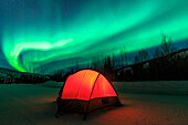 Aurora Borealis, Nordlichter in der Nähe von Fairbanks, Alaska