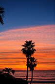 Solana Beach, San Diego County, Kalifornien. Palmen blicken auf den Ozean während eines rosafarbenen, orangefarbenen Wolkensonnenuntergangs mit blauem Himmel