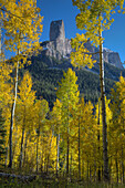 USA, Colorado, San Juan Mountains. Autumn aspen trees frame Chimney Rock