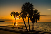 Menschen sitzen am Strand und beobachten den Sonnenaufgang über Old Tampa Bay