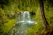 USA, Oregon, McKenzie-Fluss. Landschaft der Koosah Falls