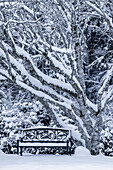 USA, Staat Washington, Seabeck. Schneebedeckte Bäume und Bank im Winter.